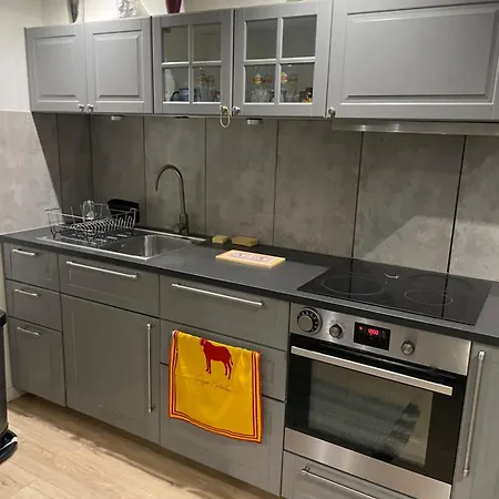 La Maison De Tedone * 泰克河畔阿尔莱